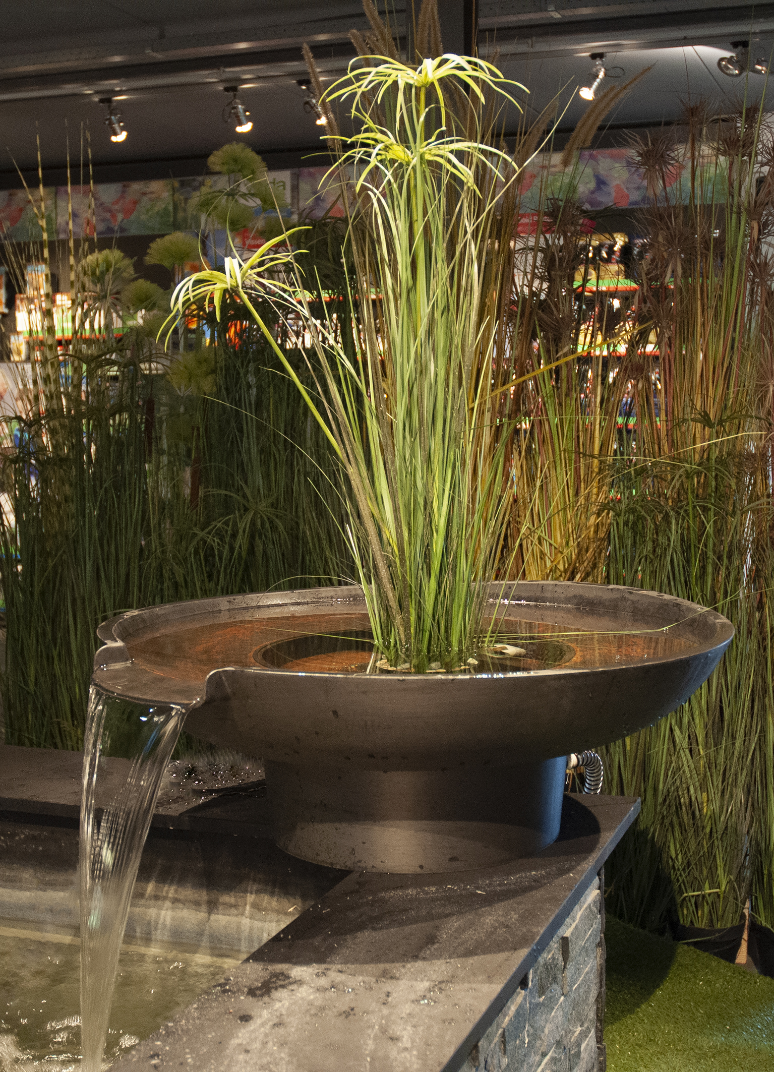 Pond Filter Bowl