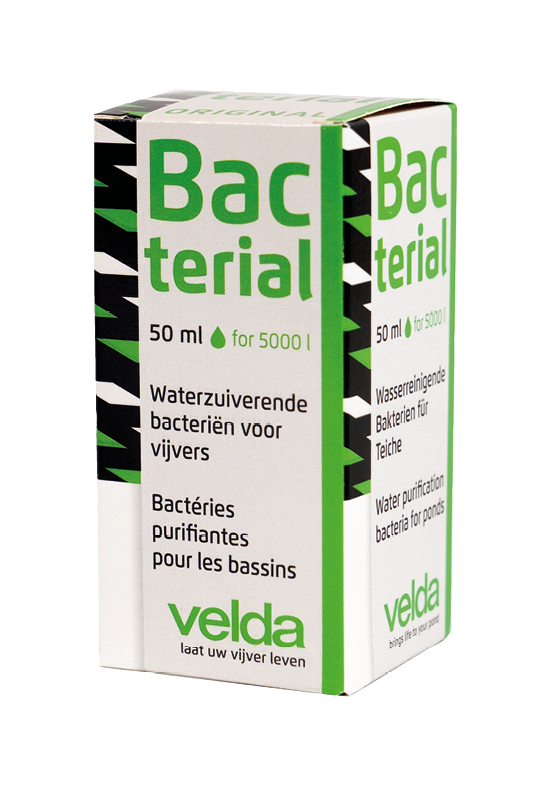 Bacterial
